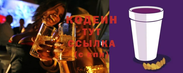 дмт Арсеньев