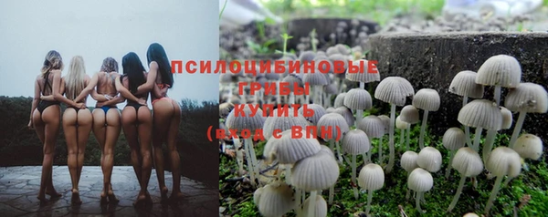 твердый Армянск
