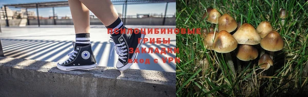 дмт Арсеньев