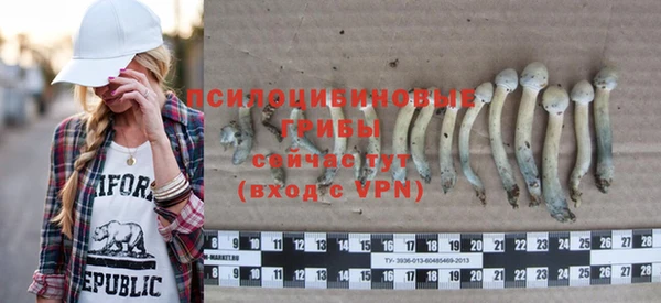 твердый Армянск