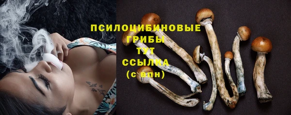 apvp Алзамай