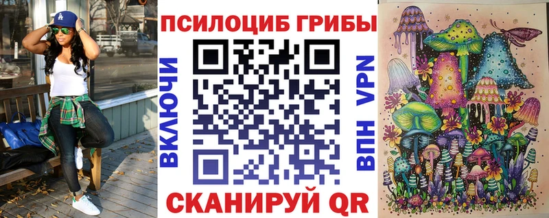 как найти закладки  Дегтярск  Псилоцибиновые грибы мухоморы 